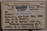 Image Associated With the Occurence